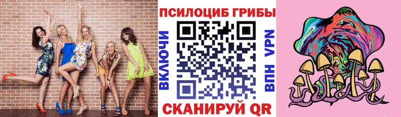 Галлюциногенные грибы Psilocybine cubensis  Кумертау 